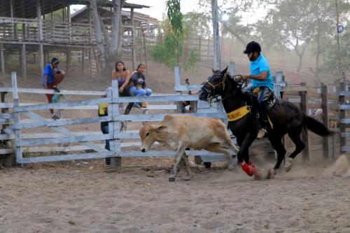 Moto zero quilômetro e R$ 14 mil: Prefeitura de Parintins anuncia premiação da Prova do Laço da 38ª Expopin