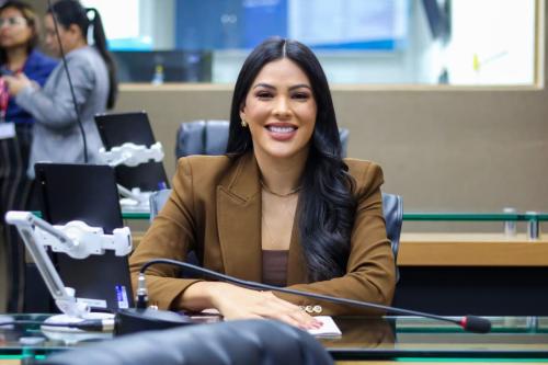Mayra Dias encerra 2025 com 48 projetos, 284 requerimentos e 41 leis sancionadas na Aleam