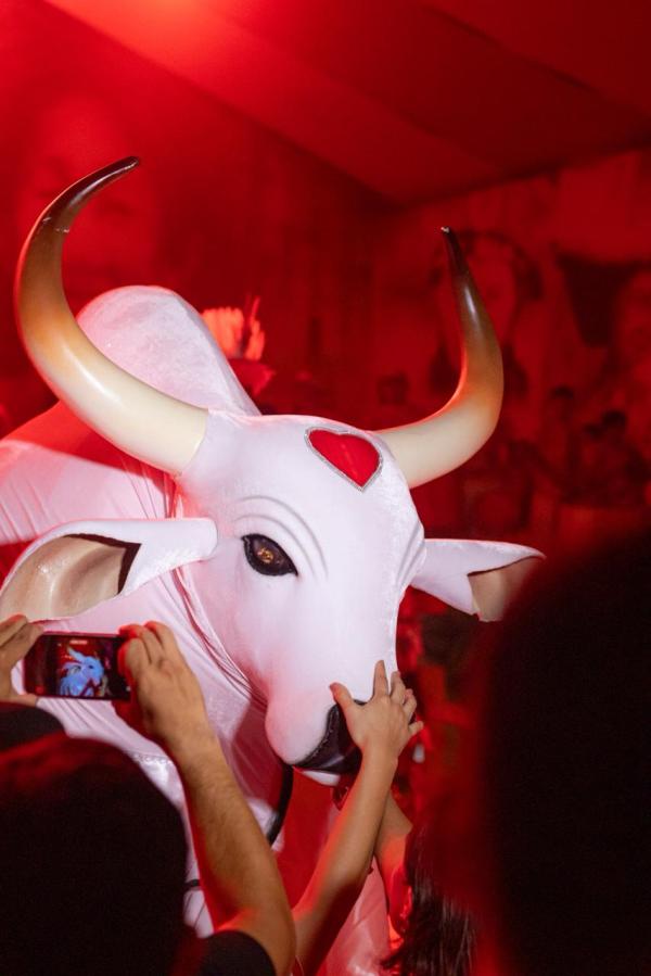 Em clima de alegria, Pré-Réveillon Vermelho e Branco reúne povo do Boi Garantido em Parintins