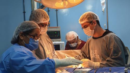 Prefeitura de Parintins publica edital para contratar anestesiologista e cirurgião geral