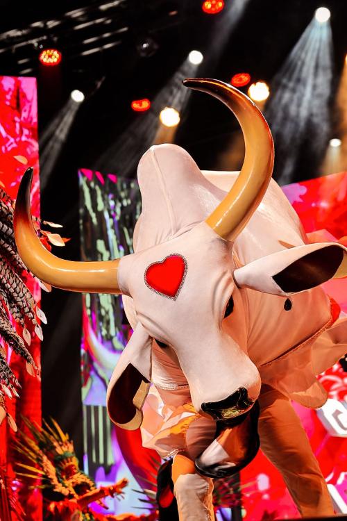 Espetáculo do Boi Garantido lança o Festival de Parintins 2026 no Teatro Amazonas