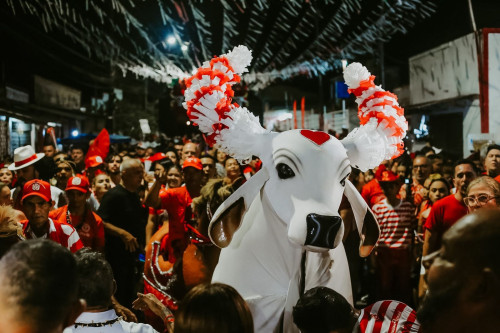 “Décima Nona Evolução” marca despedida de Tadeu Garcia no álbum 2026 do Garantido