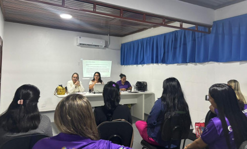 Conselho Municipal da Mulher discute condutas institucionais e amplia alinhamento entre membros