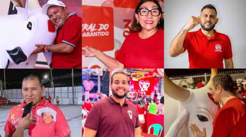 Seis nomes já se movimentam pela presidência do Garantido