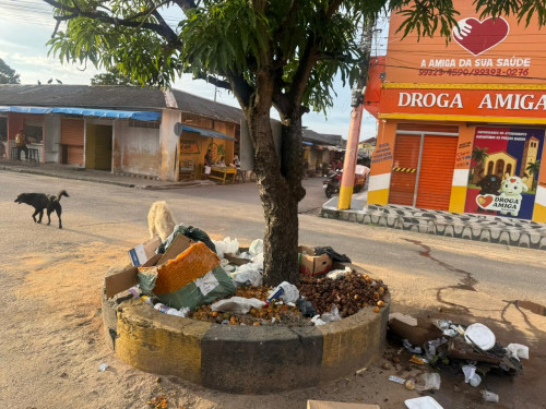 Prefeitura de Parintins intensifica combate a “lixeiras viciadas”