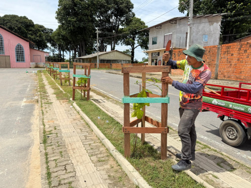 Prefeitura de Parintins intensifica arborização urbana e rural com plantio de 700 mudas no município