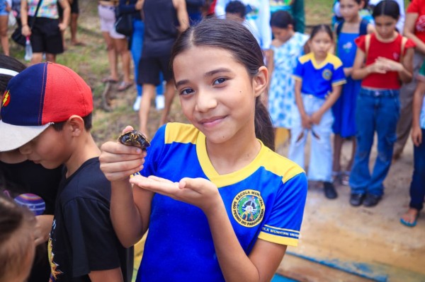 Mais de 200 filhotes de tracajás foram devolvidos à natureza durante programação especial da Prefeitura de Parintins