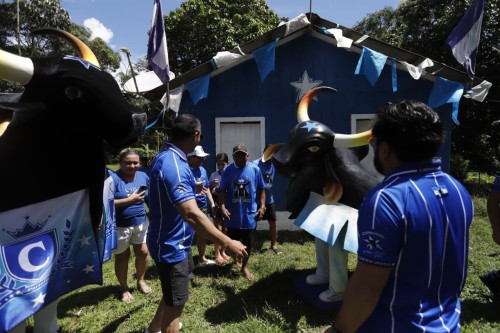 Parananema recebe réplica do Boi Caprichoso e reforça tradição da Vaqueirada azulada