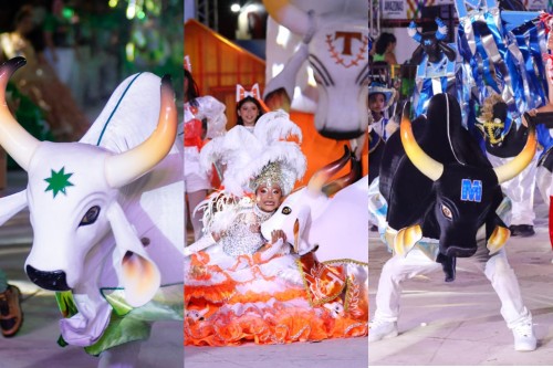 Bois mirins emocionam público e encerram programação das 59ª Festividades Folclóricas