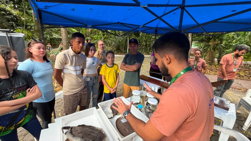 Projeto Arraias do Bosque promove ação para conscientizar sobre conservação de tubarões e arraias no INPA