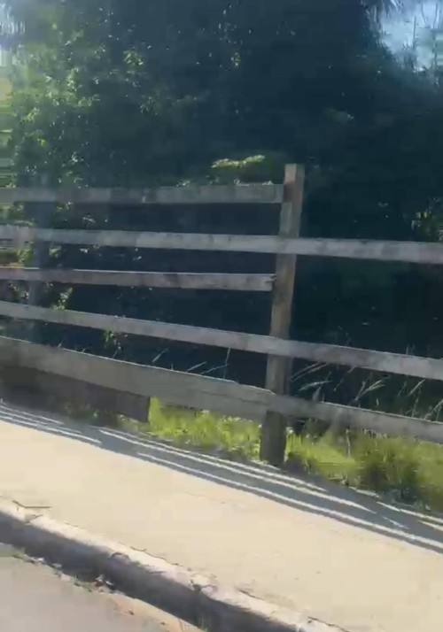 Vereadora Márcia Baranda solicita manutenção no guarda-corpo da passarela da Ponte Amazonino Mendes