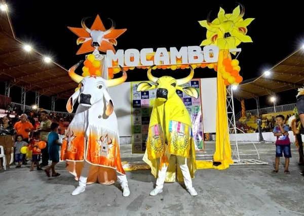Festival do Mocambo exalta ancestralidade, fé e identidade cultural com os bois Touro Branco e Espalha Emoção