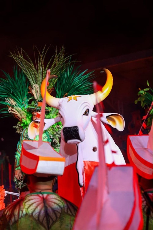 Touro Branco é bicampeão do 21° Festival do Mocambo celebrando medicina tradicional e espiritualidade