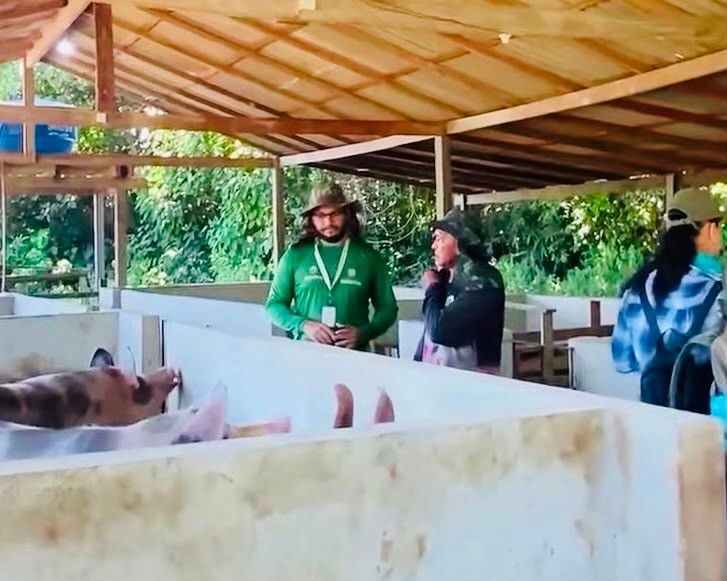 Criadores e produtores da região do Mocambo e Caburi recebem Capacitação em Suinocultura