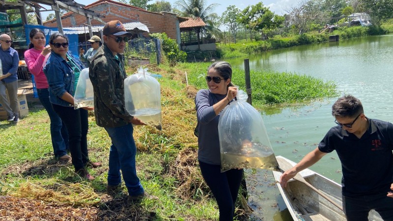 Piscicultura: produtor recebe acompanhamento técnico para nova safra de alevinos de tambaqui