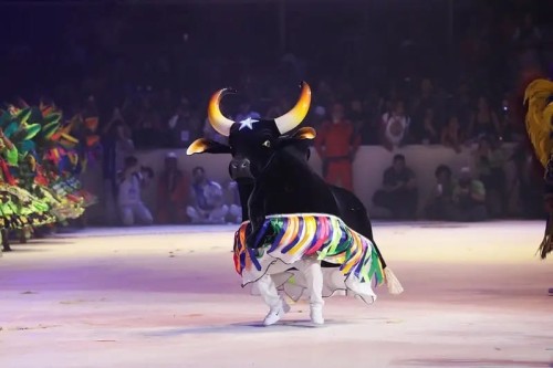 Volta, Nossa Senhora do Carmo: O Boi-Bumbá Caprichoso precisa de tua bênção