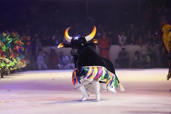 Volta, Nossa Senhora do Carmo: O Boi-Bumbá Caprichoso precisa de tua bênção
