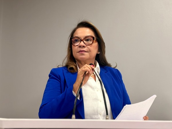 Vereadora Márcia Baranda solicita ampliação da iluminação pública no Ramal dos Reis, na zona rural de Parintins