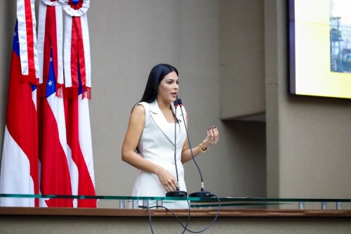 Mayra Dias cobra resposta do Governo para conter queimadas e fumaça no Amazonas
