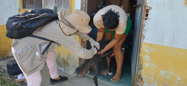 Campanha de Vacinação Antirrábica chega à Estrada e Ramais do Aninga