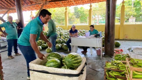 Programa federal e Prefeitura de Parintins incentivam agricultor rural na comercialização de produtos
