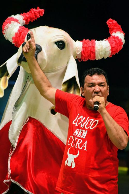 Garantido vai apresentar hoje uma Amazônica mágica 