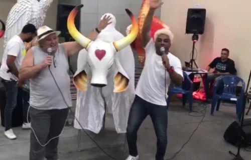 Toada 'Perrechés do Brasil' é novo hit nacional do Garantido