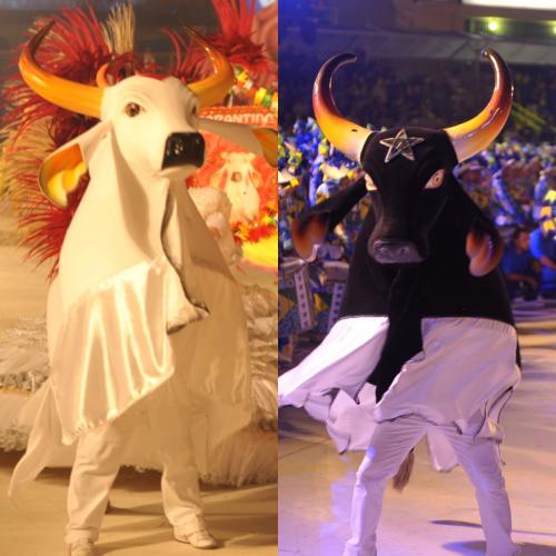 Festival de Parintins vai bater recorde de visitantes em 2018