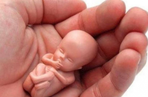 Descriminalização do aborto divide especialistas em audiência no STF