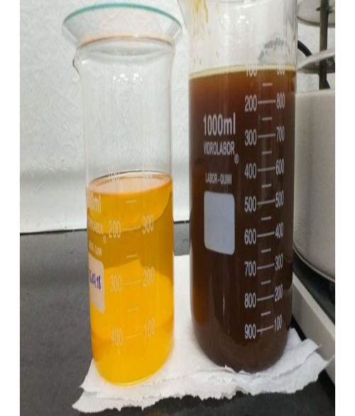 Cabeça e rabo de peixe que seriam descartados vão virar biodiesel no Amazonas