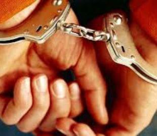 Recebimento de seguro-desemprego na condição de freelancer configura crime de estelionato 