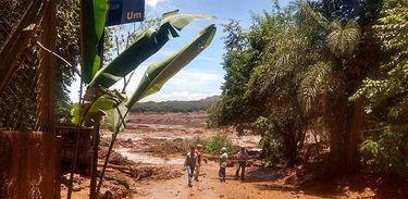 Banco do Brasil amplia prazo para dívidas de produtores de Brumadinho