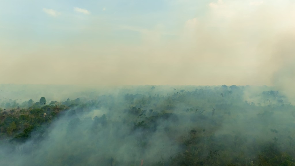 Queimada na Vila Amazonia Pin.jpg